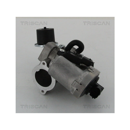 Triscan EGR Valve to suit Ford, Jaguar