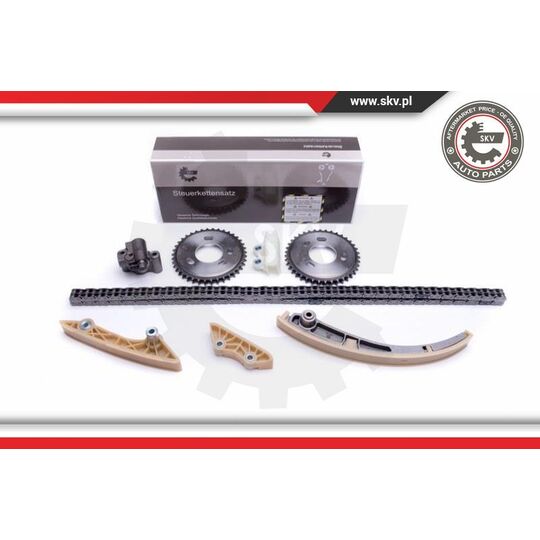 Esen Skv Timing Chain Kit to suit Ford