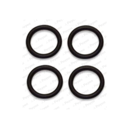 Payen Gasket Set, intake manifold to suit Ford, Mazda, Peugeot