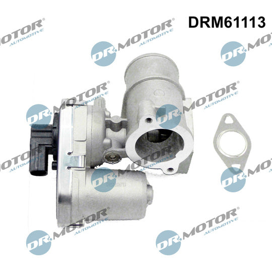 Dr.Motor Automotive EGR Valve to suit Ford, Jaguar