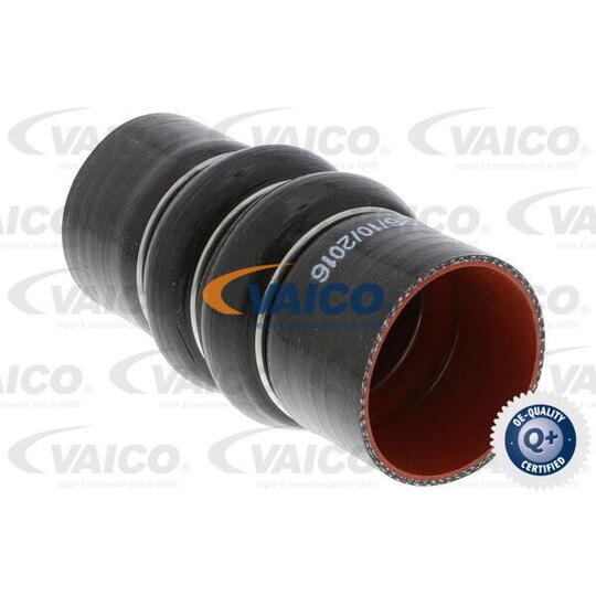 Vaico Charger Intake Hose to suit Ford
