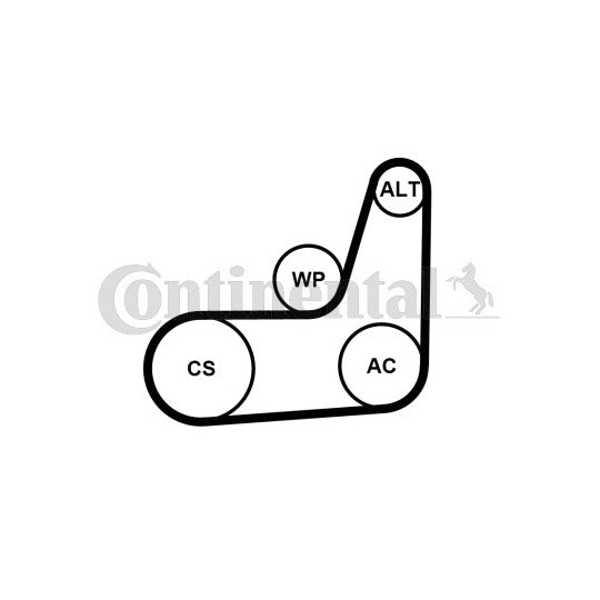 Continental Ctam 6PK1019 ELAST T2 V-Ribbed Belt Set to suit Ford