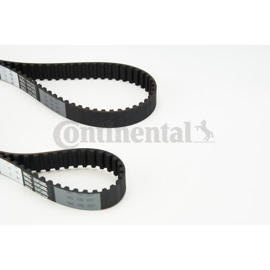Continental Ctam Timing Belt to suit Ford, Mazda