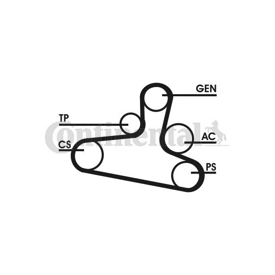 Continental Ctam V-Ribbed Belt Set to suit Ford, Seat