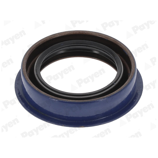 Payen Shaft Seal, differential to suit Ford, Volvo