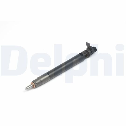 Delphi R00101DP-12B1 Injector to suit Ford, Peugeot, Citroën