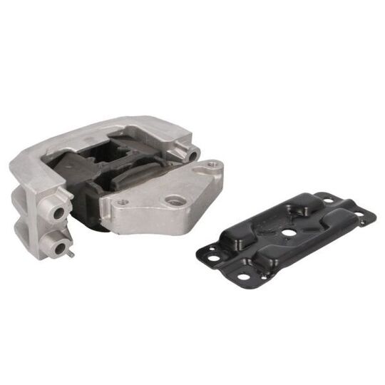 Reinhoch Engine Mounting to suit Ford