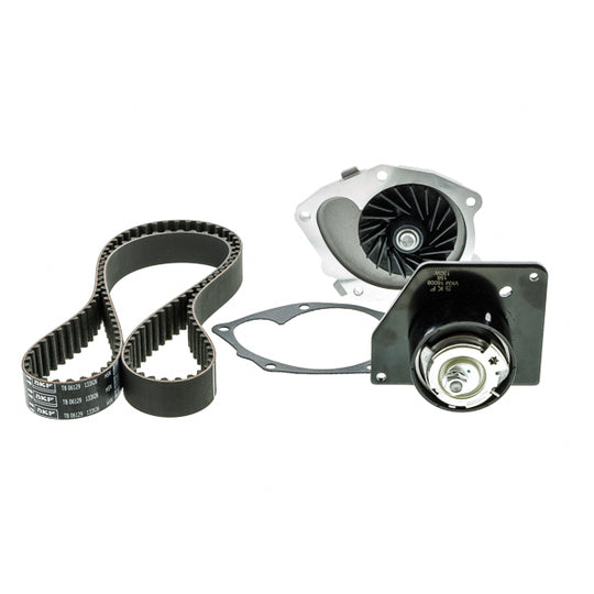 Aisin Water Pump & Timing Belt Set to suit Nissan, Renault, Suzuki