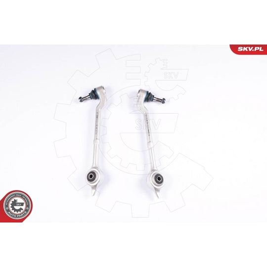 Esen Skv Repair Kit, control arm to suit BMW