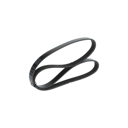 Bosch V-Ribbed Belt to suit Ford, Mercedes-Benz, Volvo