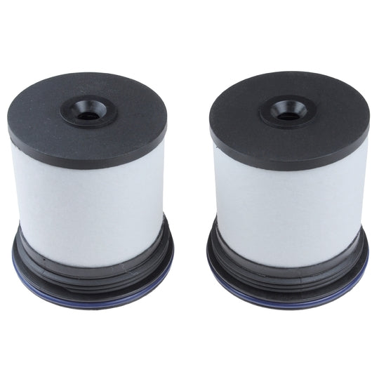 Febi Bilstein Fuel filter set to suit Chevrolet, Opel, Vauxhall
