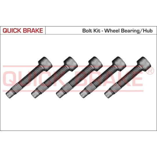 Quick Brake Repair Kit, wheel hub to suit Ford