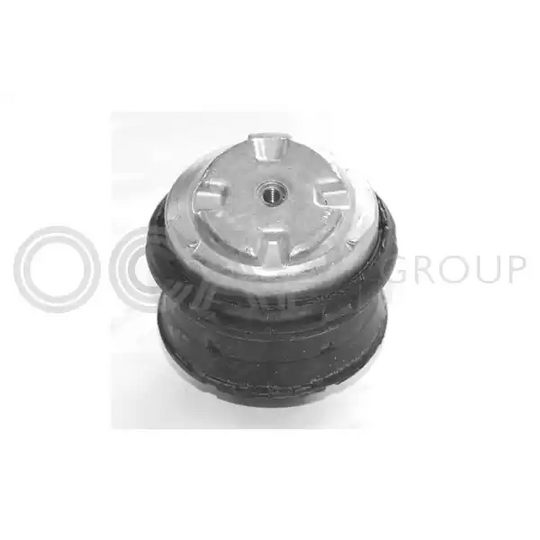 Ocap Engine Mounting to suit Mercedes-Benz
