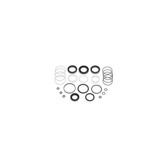 Lemförder Gasket Set, steering gear to suit BMW
