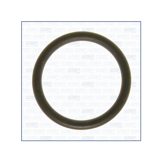 Ajusa Gasket, intake manifold to suit Audi, Iveco, Opel