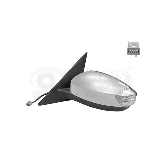 Van Wezel Outside Mirror to suit Ford