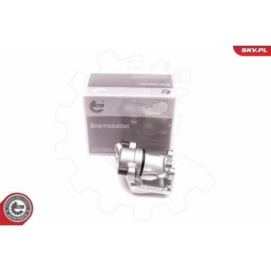 Esen Skv Brake Caliper to suit BMW