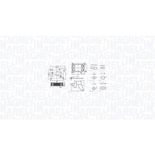 Magneti Marelli Oil Cooler, engine oil to suit Alfa Romeo / Fiat / Lancia, Opel