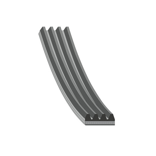 Swag V-Ribbed Belt to suit Nissan, Kia, Case