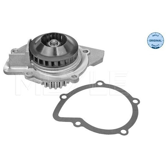 Meyle Water pump to suit Toyota, Ford, Peugeot