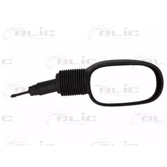 Blic Outside Mirror to suit Ford