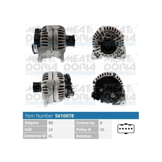 Meat & Doria Alternator to suit Daf