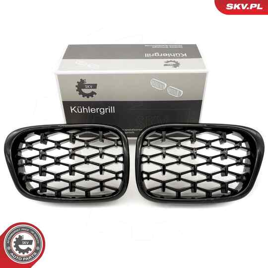 Esen Skv Radiator Grille to suit BMW