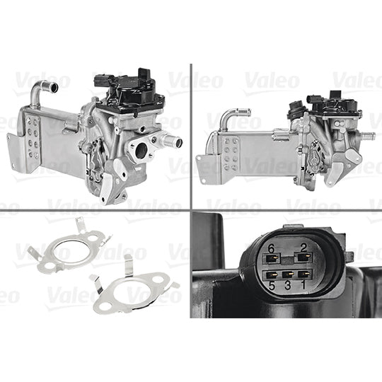 Valeo EGR Module to suit Audi, Hitachi, Seat
