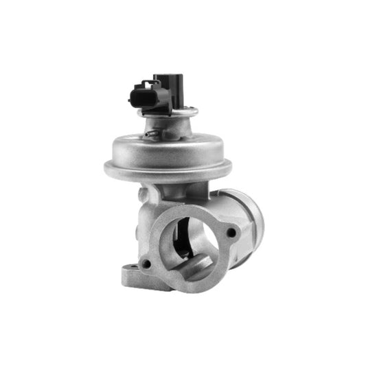 Borgwarner (Wahler) EGR Valve to suit Ford, Jaguar