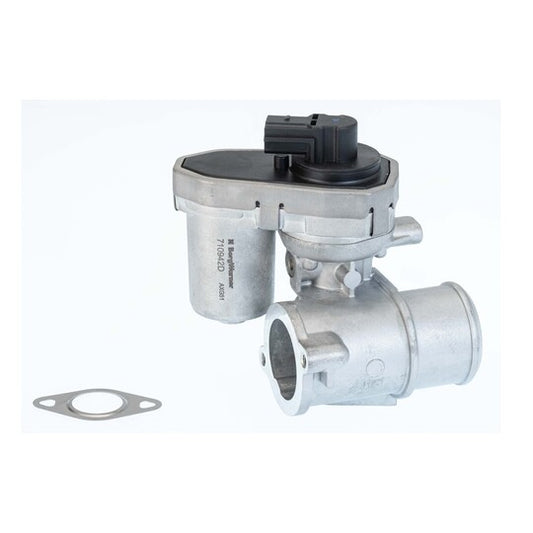 Borgwarner (Wahler) EGR Valve to suit Ford, Jaguar