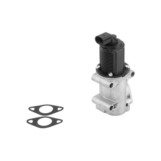 Borgwarner (Wahler) EGR Valve