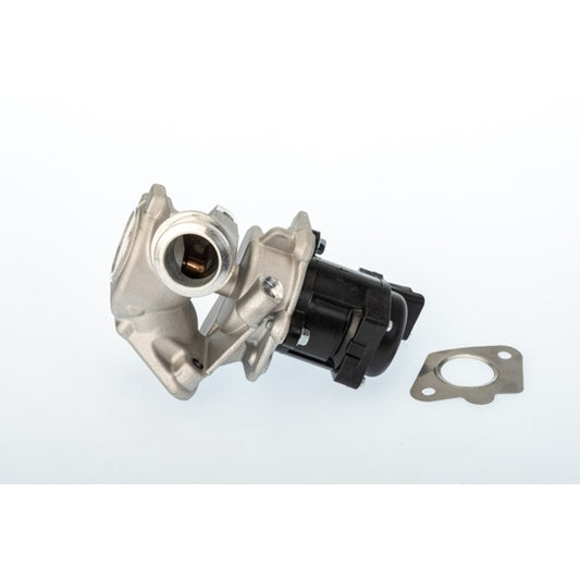 Borgwarner (Wahler) EGR Valve to suit Ford, Mazda, BMW
