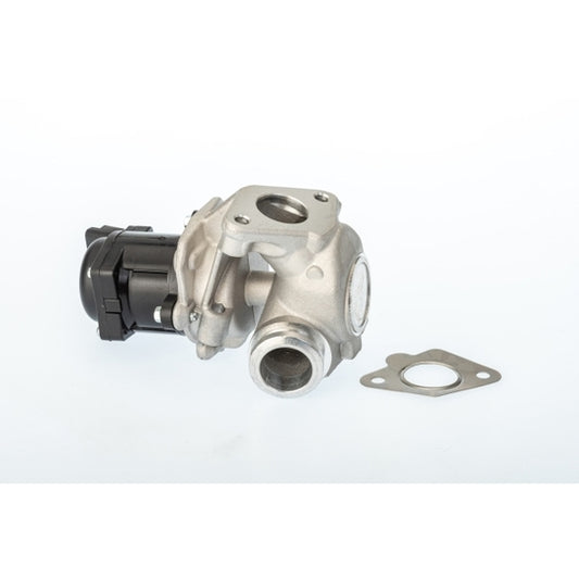 Borgwarner (Wahler) EGR Valve to suit Ford, Peugeot, Citroën