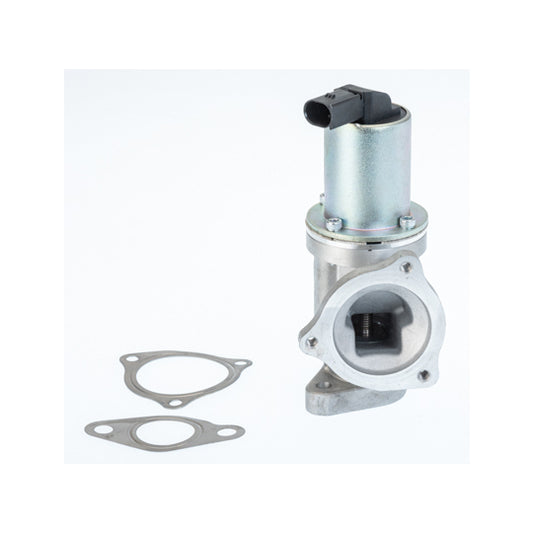 Borgwarner (Wahler) EGR Valve to suit Hyundai, Kia, Hitachi