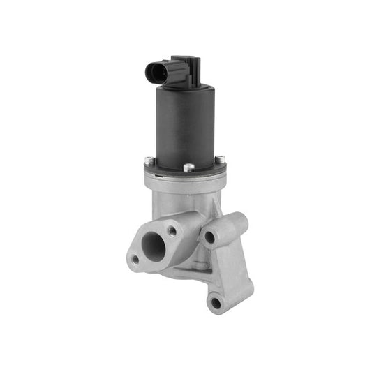 Borgwarner (Wahler) EGR Valve to suit Hyundai, Hitachi
