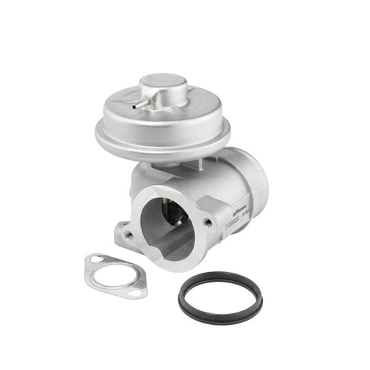 Borgwarner (Wahler) EGR Valve to suit Ford, Jaguar