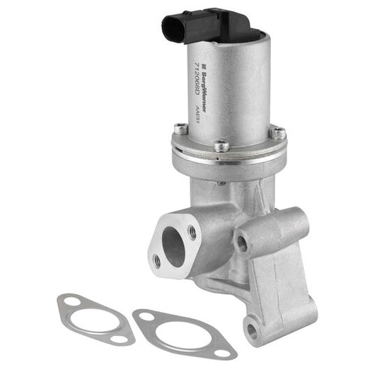 Borgwarner (Wahler) EGR Valve to suit Hyundai, Hitachi