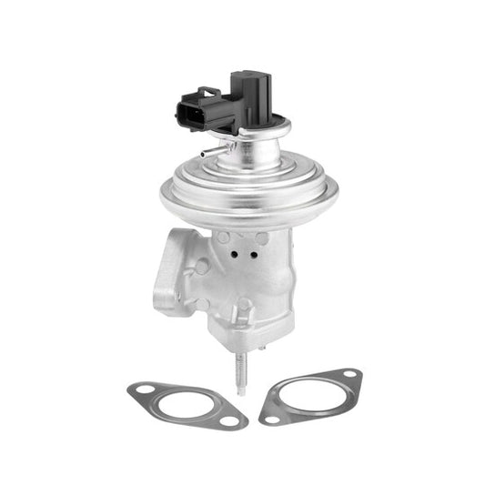 Borgwarner (Wahler) EGR Valve to suit Ford