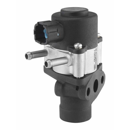 Borgwarner (Wahler) EGR Valve to suit Nissan, Hitachi