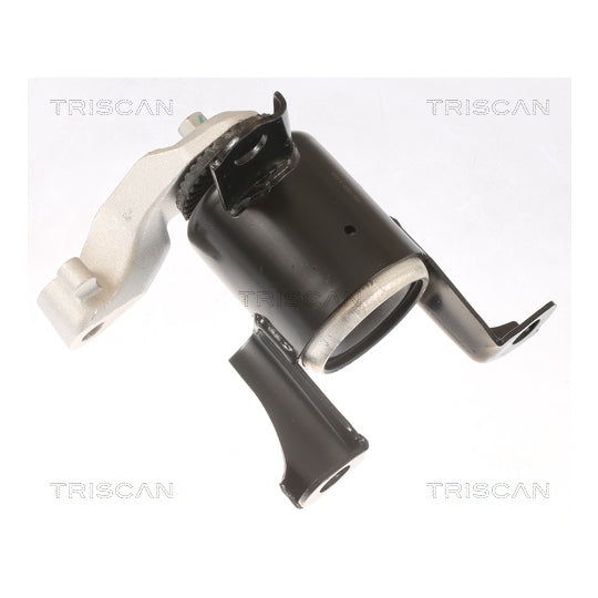Triscan Mounting, engine to suit Ford