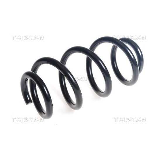 Triscan Coil Spring to suit Audi