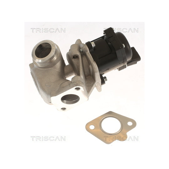Triscan EGR Valve to suit Ford, Mazda, Volvo