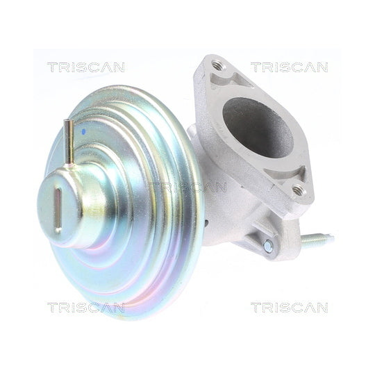 Triscan EGR Valve to suit Ford