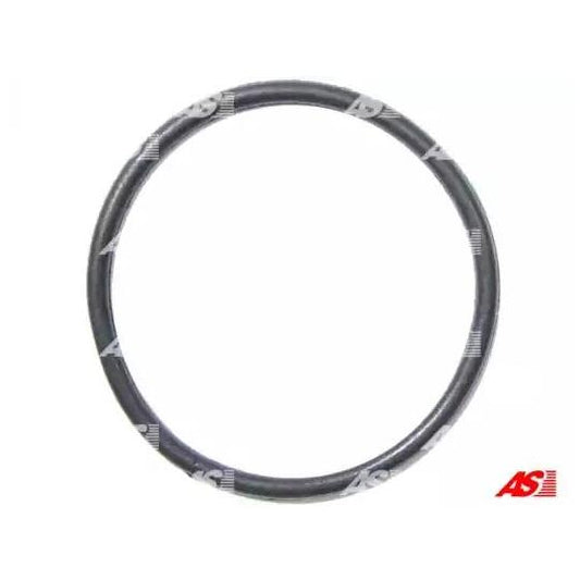 As-Pl Repair Kit, alternator to suit Ford, VW, BMW