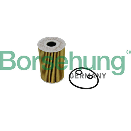 Borsehung Oil filter to suit VAG