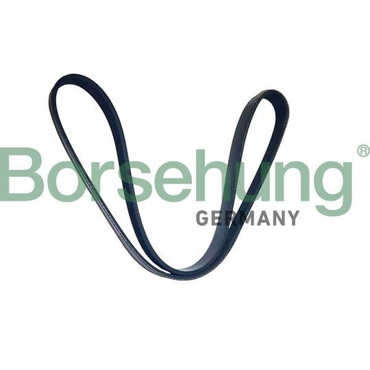 Borsehung V-Ribbed Belt to suit Mercedes-Benz