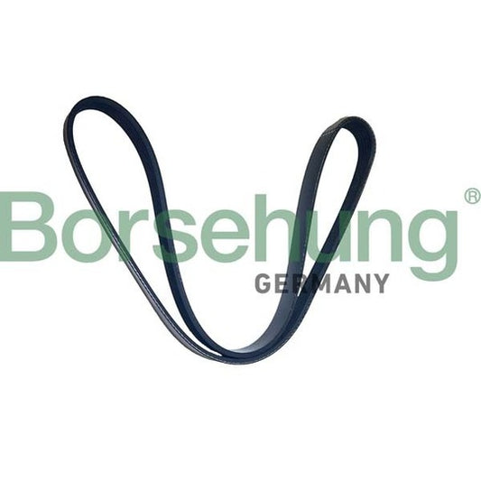Borsehung V-Ribbed Belt to suit Mercedes-Benz