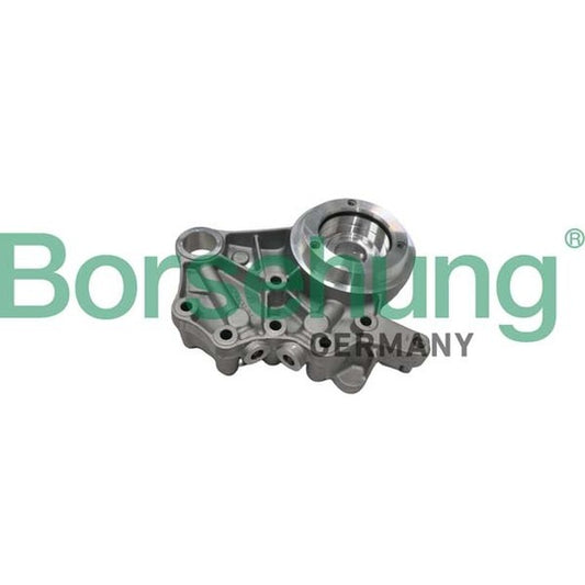 Borsehung Camshaft Bushes to suit Audi, VW, Seat