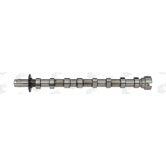 Ae Camshaft to suit Ford, Peugeot, Citroën