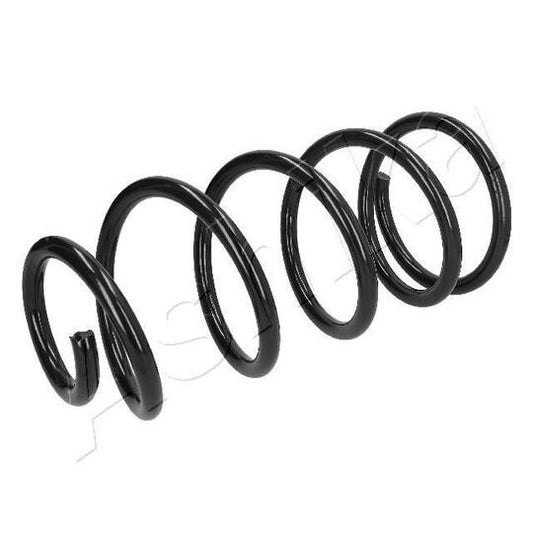 Ashika Coil Spring to suit Ford